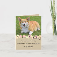Pembroke Welsh Corgi Birthday Wenskaart
