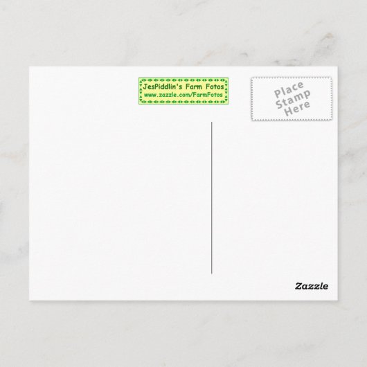 Pembroke Welsh Corgi Briefkaart (Achterkant)