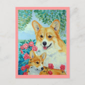 Pembroke Welsh Corgi Briefkaarten (Voorkant)