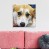 Pembroke Welsh Corgi Canvas Print (Insitu (Woonkamer))