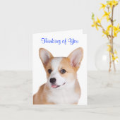 Pembroke Welsh Corgi denkt aan je Wenskaart Kaart (Gele Bloem)