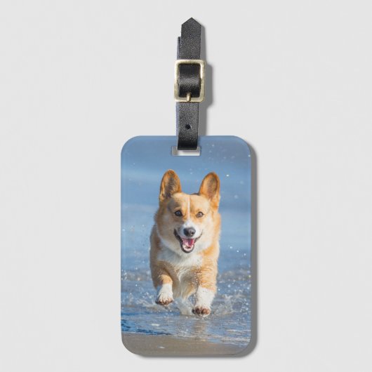 Pembroke Welsh Corgi Dog aan het strand Bagagelabel (Voorkant (verticaal))