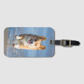 Pembroke Welsh Corgi Dog aan het strand Bagagelabel (Voorkant (horizontaal))
