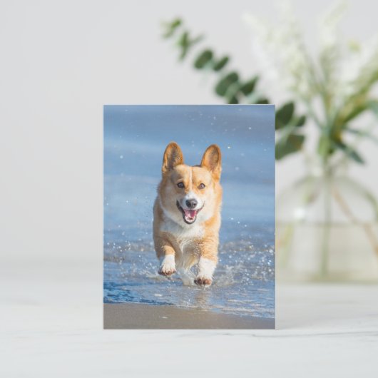 Pembroke Welsh Corgi Dog aan het strand Briefkaart (Staand voorkant)