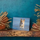 Pembroke Welsh Corgi Dog aan het strand Fotoplaat (Zijkant)
