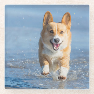 Pembroke Welsh Corgi Dog aan het strand Glazen Onderzetter