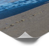 Pembroke Welsh Corgi Dog aan het strand Poster (Hoek)