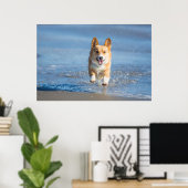 Pembroke Welsh Corgi Dog aan het strand Poster (Thuiskantoor)