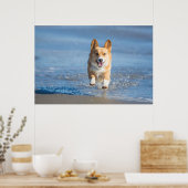 Pembroke Welsh Corgi Dog aan het strand Poster (Keuken)