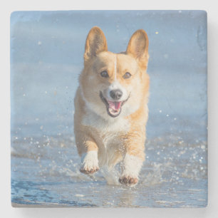 Pembroke Welsh Corgi Dog aan het strand Stenen Onderzetter