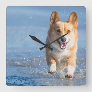 Pembroke Welsh Corgi Dog aan het strand Vierkante Klok