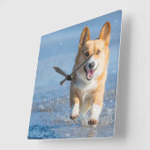 Pembroke Welsh Corgi Dog aan het strand Vierkante Klok (Hoek)