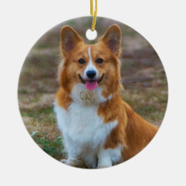 Pembroke Welsh corgi Dog Keramisch Ornament