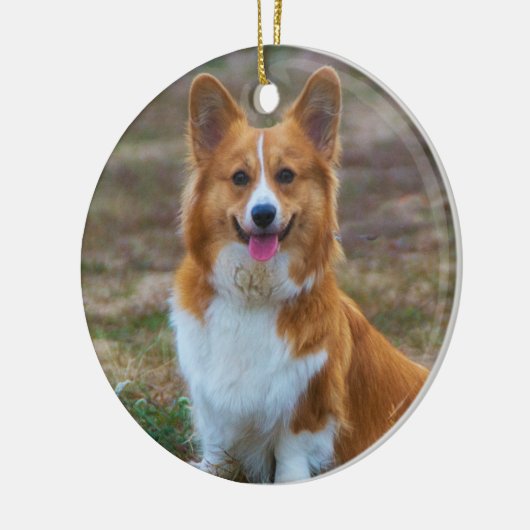 Pembroke Welsh corgi Dog Keramisch Ornament (Links)