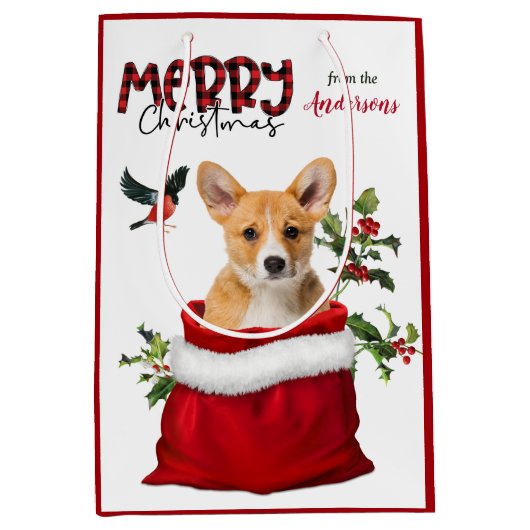 Pembroke Welsh Corgi Dog Kerstmis Medium Cadeauzakje (Voorkant)