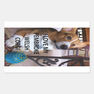 pembroke welsh corgi fawn love w pic rechthoekige sticker