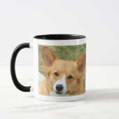 Pembroke Welsh Corgi Foto Mok (Links)
