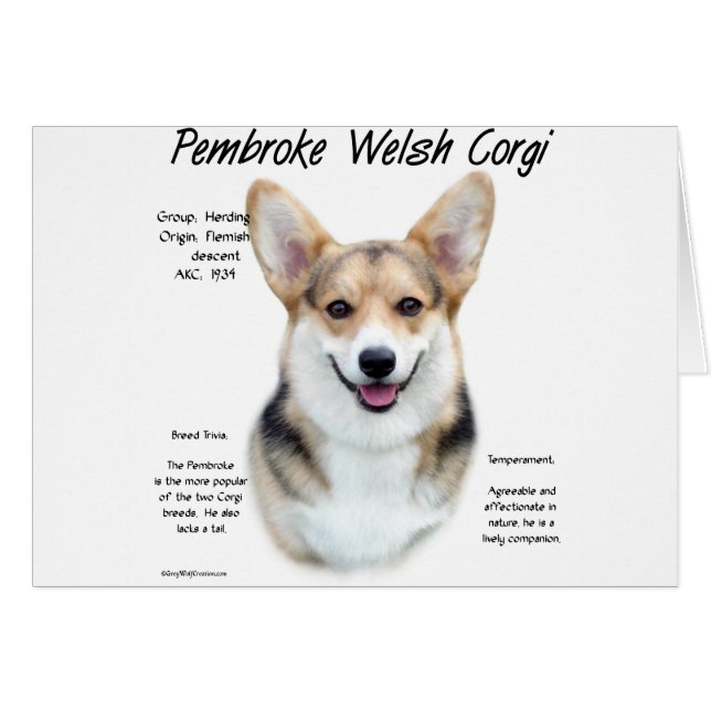 Pembroke Welsh Corgi History Design (Voorkant Horizontaal)