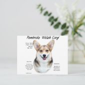 Pembroke Welsh Corgi History Design Briefkaart (Staand voorkant)