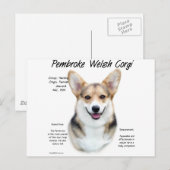 Pembroke Welsh Corgi History Design Briefkaart (Voorkant / Achterkant)