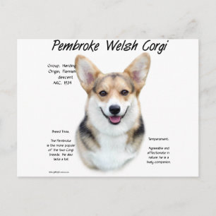 Pembroke Welsh Corgi History Design Briefkaart