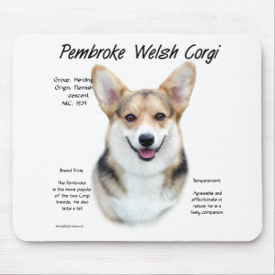Pembroke Welsh Corgi History Design Muismat