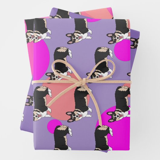 Pembroke Welsh Corgi   Inpakpapier Vel (In situ)