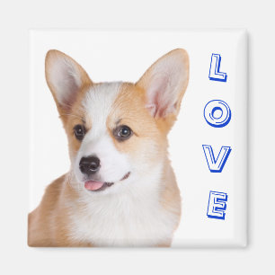 Pembroke Welsh Corgi Love Refkoelkast Magnet