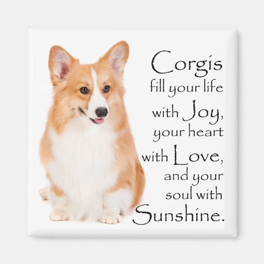 Pembroke Welsh Corgi Magnet #1 (Voorkant)