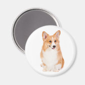 Pembroke Welsh Corgi Magnet #2 (Voorkant / Achterkant)