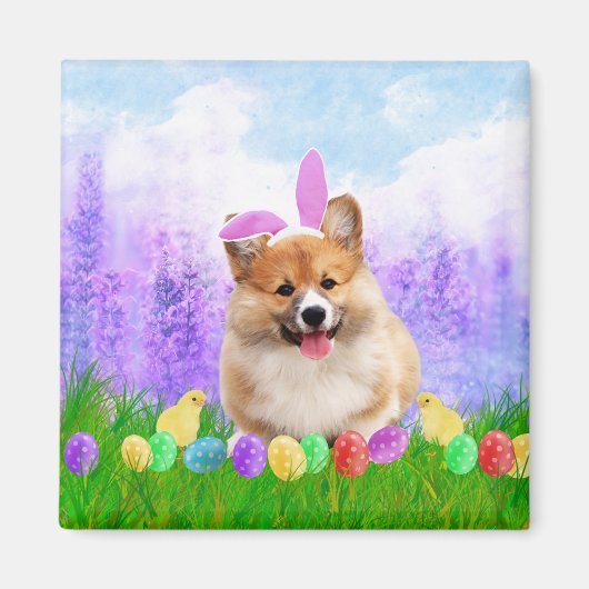 Pembroke Welsh Corgi met Paaseieren Bunny Chick Magneet (Voorkant)