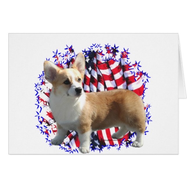 Pembroke Welsh Corgi Patriot (Voorkant Horizontaal)