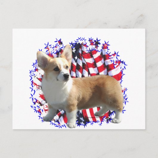 Pembroke Welsh Corgi Patriot Briefkaart (Voorkant)