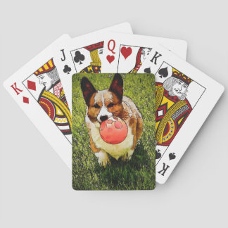Pembroke Welsh Corgi Pokerkaarten
