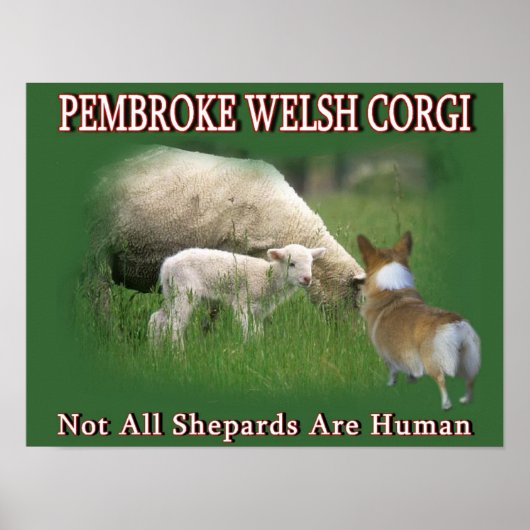 PEMBROKE WELSH CORGI POSTER (Voorkant)