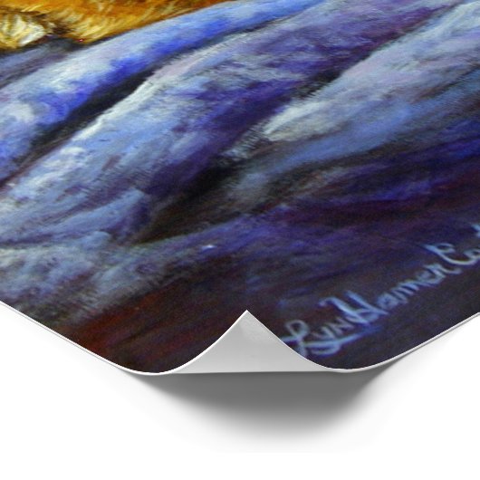 Pembroke Welsh Corgi Poster Print (Hoek)