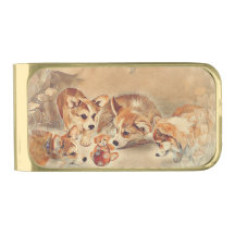 Pembroke Welsh Corgi Puppies
