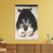 Pembroke Welsh Corgi Puppy 2 Canvas Afdruk (Insitu (Woonkamer))