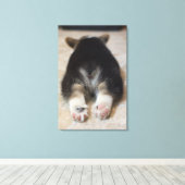 Pembroke Welsh Corgi Puppy 2 Canvas Afdruk (Insitu (Houten vloer))