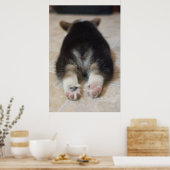 Pembroke Welsh Corgi Puppy 2 Poster (Keuken)