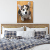 Pembroke Welsh Corgi Puppy 3 Canvas Afdruk (Insitu (Slaapkamer))