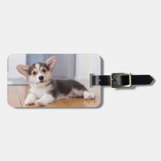 Pembroke Welsh Corgi Puppy Bagagelabel (Voorkant horizontaal)