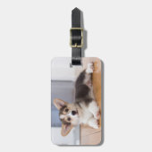 Pembroke Welsh Corgi Puppy Bagagelabel (Voorkant verticaal)