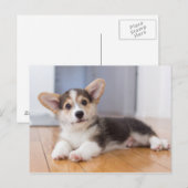 Pembroke Welsh Corgi Puppy Briefkaart (Voorkant / Achterkant)