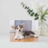 Pembroke Welsh Corgi Puppy Briefkaart (Staand voorkant)