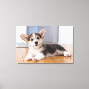 Pembroke Welsh Corgi Puppy Canvas Afdruk