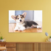 Pembroke Welsh Corgi Puppy Canvas Afdruk (Insitu (Woonkamer))