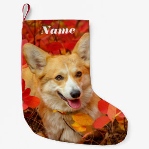 Pembroke Welsh Corgi Puppy Dog in Red Leaves Kleine Kerstsok