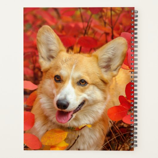 Pembroke Welsh Corgi Puppy Dog in Red Leaves Planner (Achterkant)