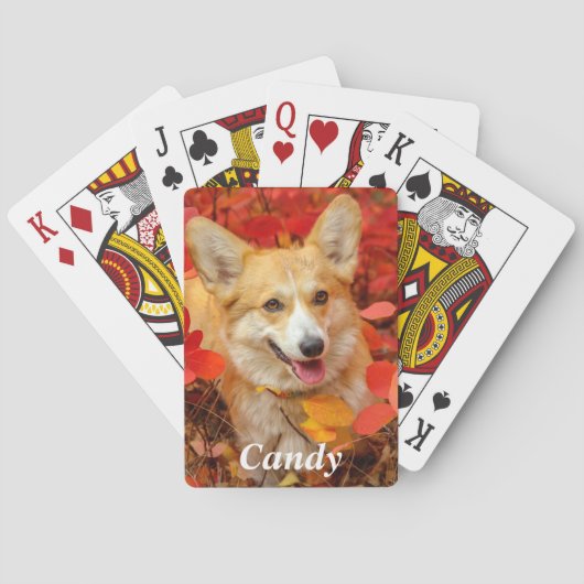 Pembroke Welsh Corgi Puppy Dog in Red Leaves Pokerkaarten (Achterkant)